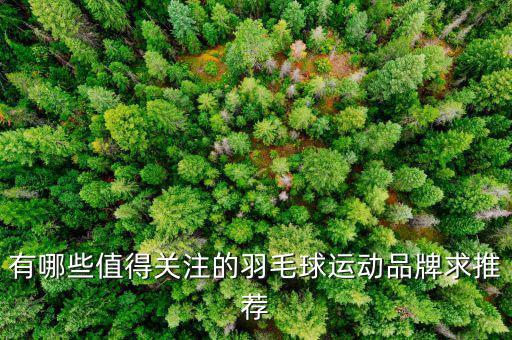有哪些值得關(guān)注的羽毛球運動品牌求推薦