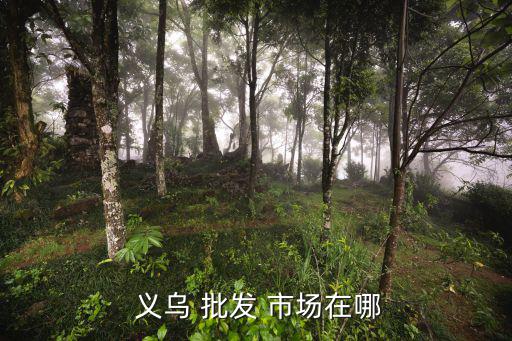 浙江義烏百貨批發(fā)市場批發(fā),直達(dá)義烏小商品城網(wǎng)站