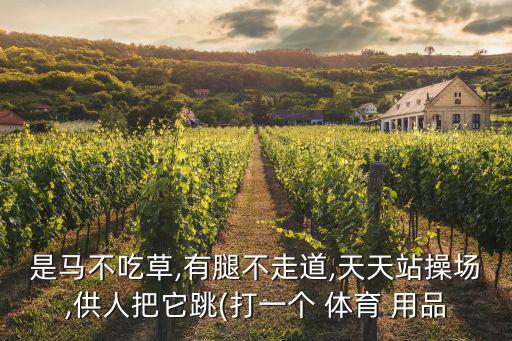 什么體育用品叫馬不會(huì)跑,體育用品連鎖 叫什么了