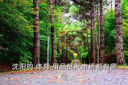  沈陽的 體育 用品批發(fā)市場都有哪些