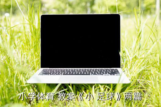 小學體育 教案《小 足球》兩篇