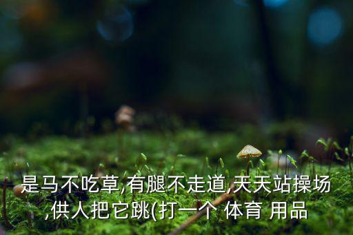 叫馬不能騎是什么體育用品,不吃草有腿不會(huì)走路的馬!