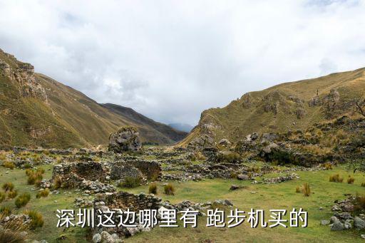 深圳這邊哪里有 跑步機買的
