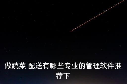 做蔬菜 配送有哪些專(zhuān)業(yè)的管理軟件推薦下