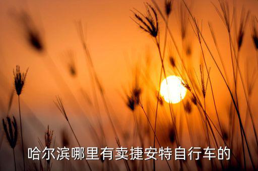 哈爾濱哪里有賣(mài)捷安特自行車(chē)的