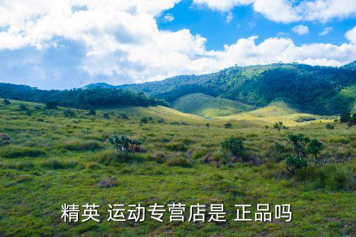 運(yùn)動(dòng)品牌集合店是正品嗎,nn專賣店是什么?