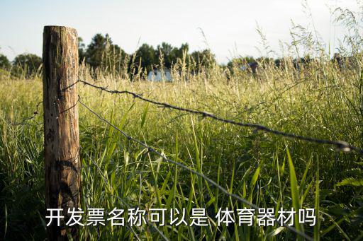 學校體育用品屬于哪個科目的,體育用品屬于什么科目