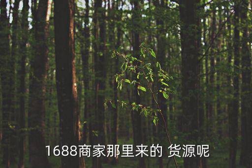1688廠家貨源批發(fā),關(guān)于新手1688分享技巧!