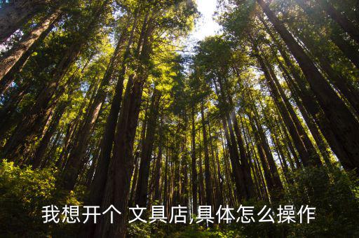 我想開個(gè) 文具店,具體怎么操作