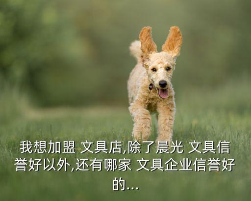我想加盟 文具店,除了晨光 文具信譽好以外,還有哪家 文具企業(yè)信譽好的...