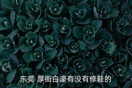 東莞 厚街白濠有沒有修鞋的