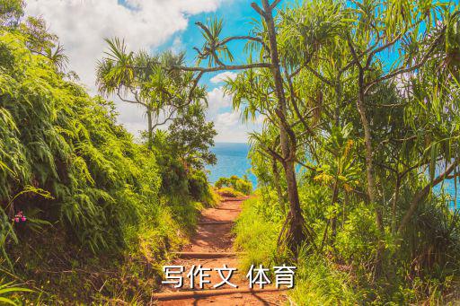 我最喜歡的體育器材簡筆畫,體育器材簡筆畫圖片大全