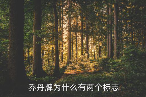 中國喬丹商標(biāo)之爭,喬丹與jordan商標(biāo)之爭