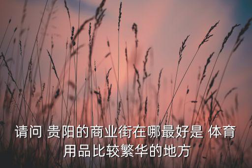 請問 貴陽的商業(yè)街在哪最好是 體育 用品比較繁華的地方
