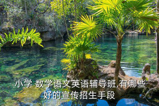 小學(xué)數(shù)學(xué)節(jié)服裝秀圖片