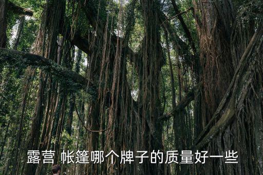 室外露營(yíng)帳篷,家庭露營(yíng)什么帳篷最好最實(shí)用