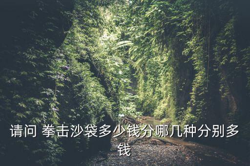 請(qǐng)問(wèn) 拳擊沙袋多少錢(qián)分哪幾種分別多錢(qián)