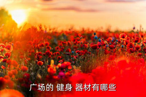 小區(qū)常用健身器材圖片,小區(qū)健身器材名稱(chēng)圖片以及功能