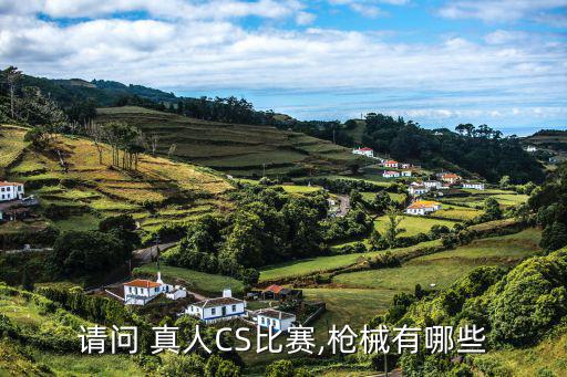 cs真人射擊的裝備,真人cs投資大概需要多少錢