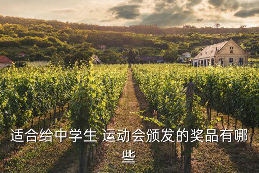 適合給中學(xué)生 運(yùn)動(dòng)會(huì)頒發(fā)的獎(jiǎng)品有哪些