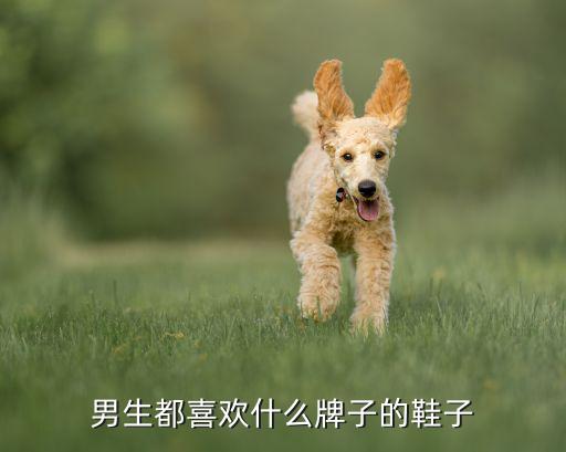什么品牌運(yùn)動(dòng)鞋最好男士,男士球鞋你知道多少?這些都是名牌!