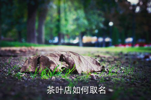 比較高雅的茶葉店名字,本地茶葉店有哪些名字叫什么?