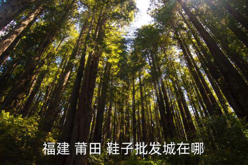 莆田鞋子體育用品店在哪里,莆田鞋子批發(fā)市場(chǎng)白天送晚上取貨