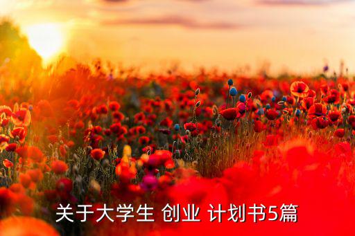 創(chuàng)業(yè)計(jì)劃書(shū)范文大全