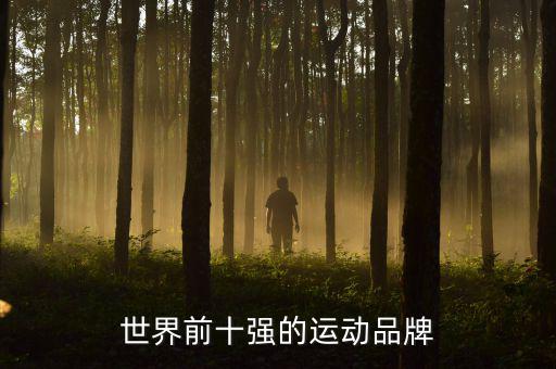 體育用品排行榜前十名,中國(guó)體育用品品牌排行榜