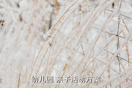 幼兒園 親子活動(dòng)方案