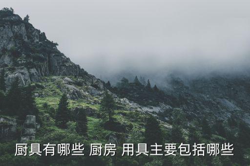 酒店廚房用具大全,?？诰频陱N房用具
