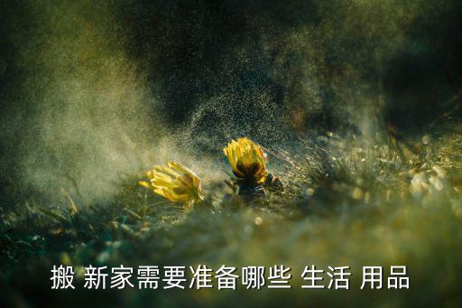 搬 新家需要準備哪些 生活 用品