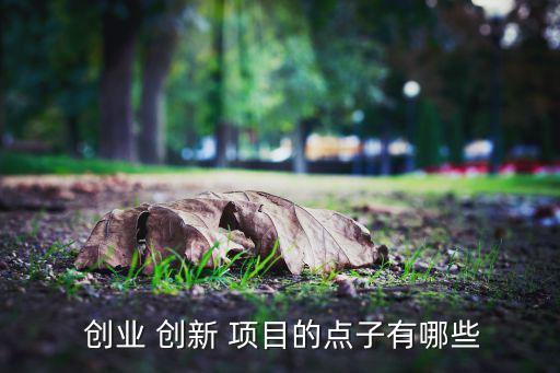  創(chuàng)業(yè) 創(chuàng)新 項(xiàng)目的點(diǎn)子有哪些