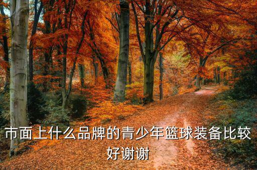體育用品批發(fā)哪個(gè)牌子好,批發(fā)體育用品哪個(gè)網(wǎng)站