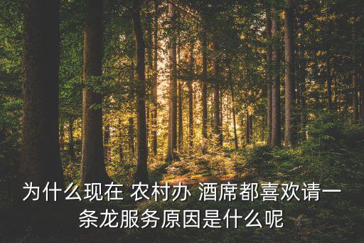 為什么現(xiàn)在 農(nóng)村辦 酒席都喜歡請一條龍服務(wù)原因是什么呢