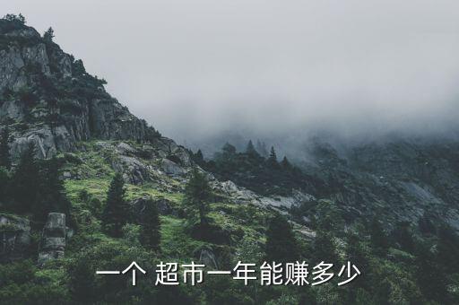 一個(gè) 超市一年能賺多少