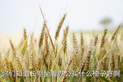 你們知道長(zhǎng)期坐著辦公買什么椅子好啊