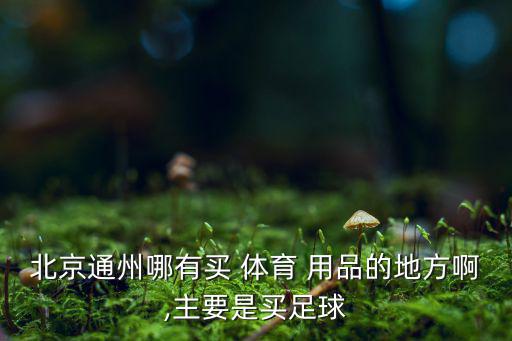 北京市體育用品批發(fā)市場,鄭州體育用品批發(fā)市場在哪里
