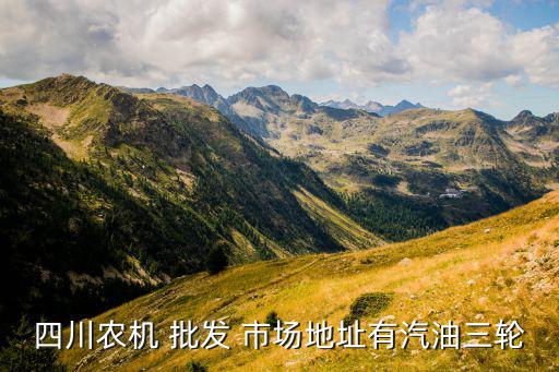 華陽批發(fā)市場在哪里,華陽電動車批發(fā)市場地址