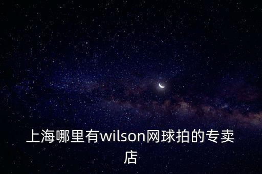 上海哪里有wilson網(wǎng)球拍的專賣店