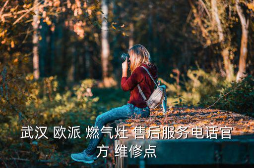 武漢 歐派 燃?xì)庠?售后服務(wù)電話官方 維修點