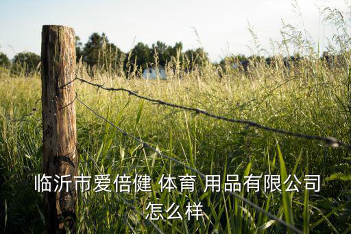  臨沂市愛倍健 體育 用品有限公司怎么樣