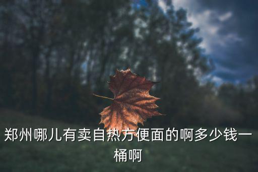 鄭州哪兒有賣自熱方便面的啊多少錢一桶啊