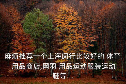 體育用品店哪個(gè)好,離我最近的體育用品店在哪里