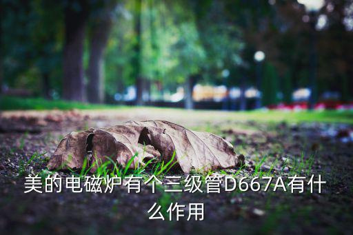 爐具圖片,爐具微動(dòng)開關(guān)圖片