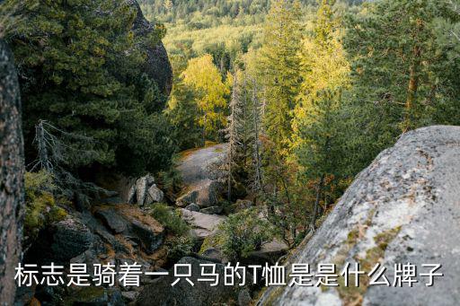 體育用品叫馬的是什么,馬球運(yùn)動文化與潮流休閑服飾相結(jié)合