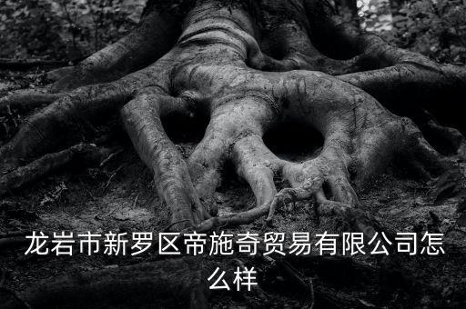  龍巖市新羅區(qū)帝施奇貿(mào)易有限公司怎么樣