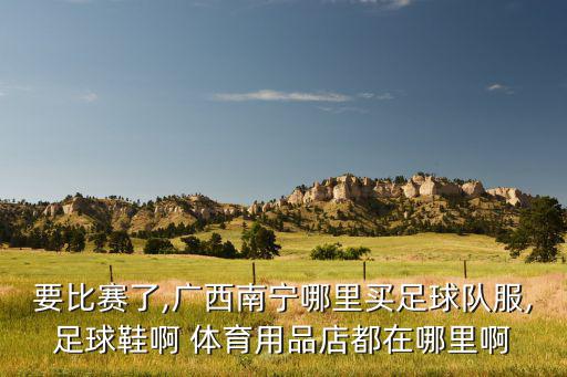 要比賽了,廣西南寧哪里買足球隊(duì)服,足球鞋啊 體育用品店都在哪里啊