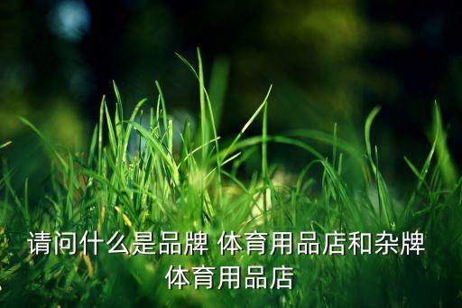 請問什么是品牌 體育用品店和雜牌 體育用品店