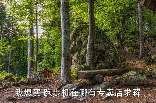 跑步機一般什么地方有賣,石家莊賣跑步機的地方